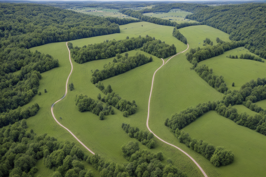 Wildtierportal Infrawild!