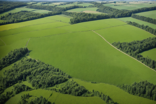 Agroforst Demonstrationsvorhaben!