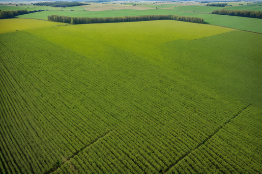 Förderung Zusammenarbeit für Landbewirtschaftung und klimaschonende Landnutzung (Teil A u. B)!