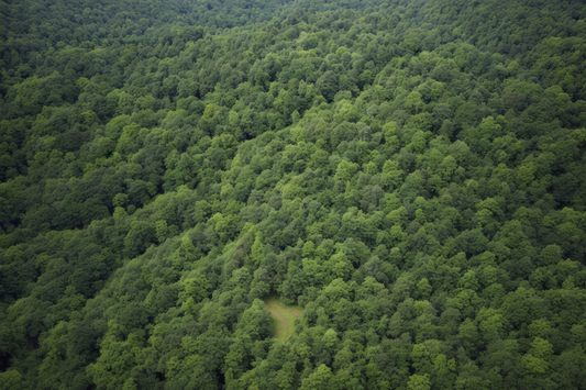 Vertragsnaturschutz im Wald (Teil E)!