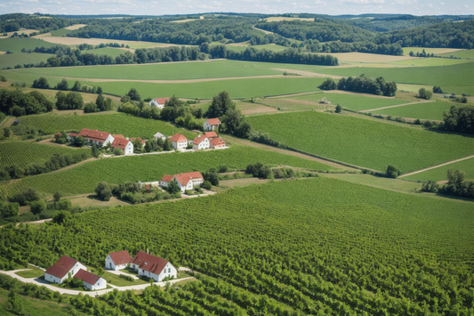 Investitionen in Betriebe (Auch Weinbau)!