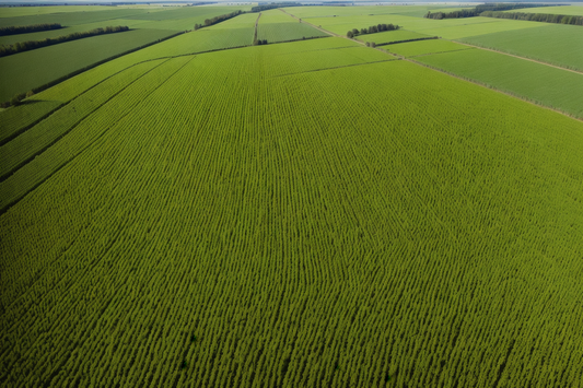 Förderung von Projekten im Rahmen der Europäischen Innovationspartnerschaft (EIP) „Landwirtschaftliche Produktivität und Nachhaltigkeit“!