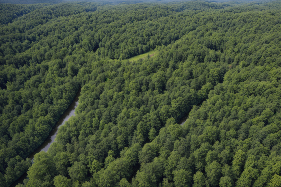 Umweltzulage Wald BW!