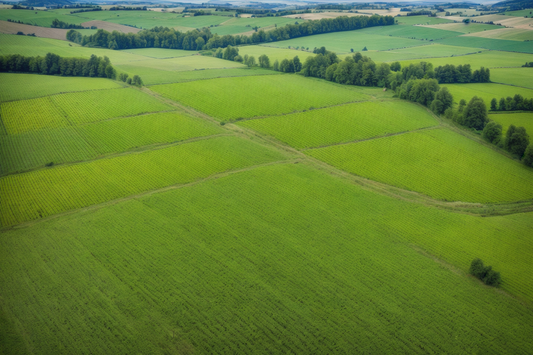 Ausgleichzahlungen Landwirtschaft BW!