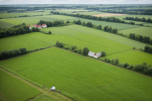 Ökologischer Landbau – Beibehaltung!