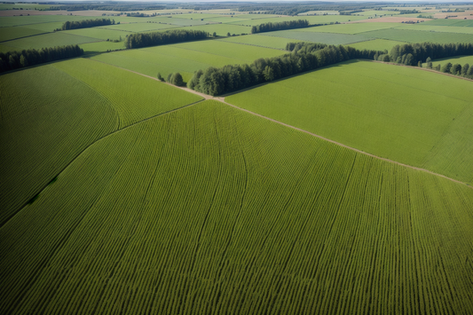 Agroforst Demonstrationsvorhaben!