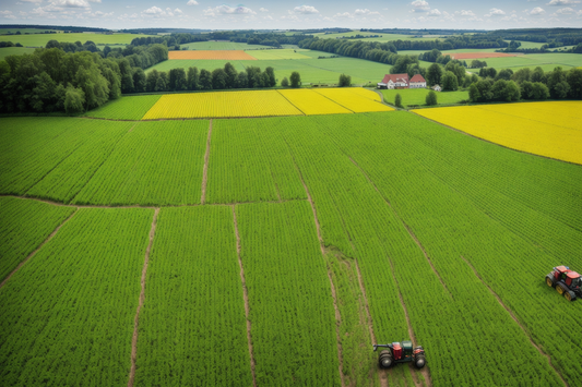 Absatz landwirtschaftlicher Erzeugnisse und von Lebensmitteln!